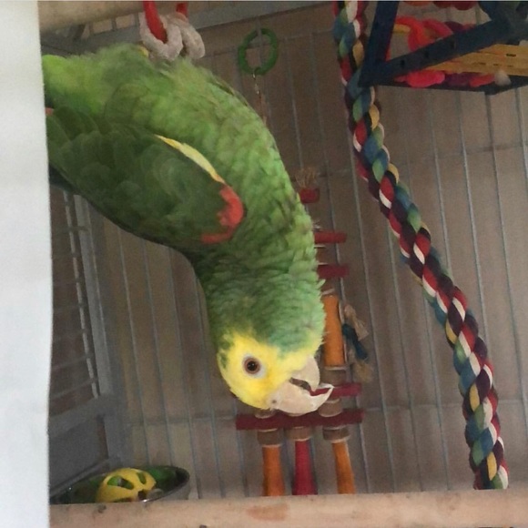 Meet your Posher, Steph - Picture 3 of 7